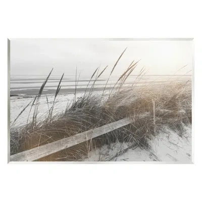 Stupell Industries Au-470-giclee Beach Reeds Photography Photograph In Mdf