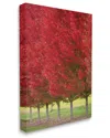 Stupell Industries Autumn Foliage Red Leaf Trees Nature Scene Stretched Canvas Wall Art By Nancy Crowell In Red