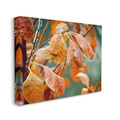 Stupell Industries Autumn Tree Leaves Water Droplets Fall Foliage By Gail Peck - Floater Frame Photograph On Canvas In Wrapped Canvas