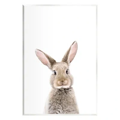 Stupell Industries Ax-481-wood Rabbit Face Portrait By Sisi And Seb In Brown;white;light Pink