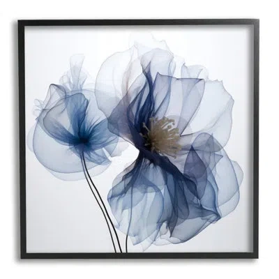 Stupell Industries Az-480-framed Blue X-ray Flowers In Midnight Black Framed Giclee