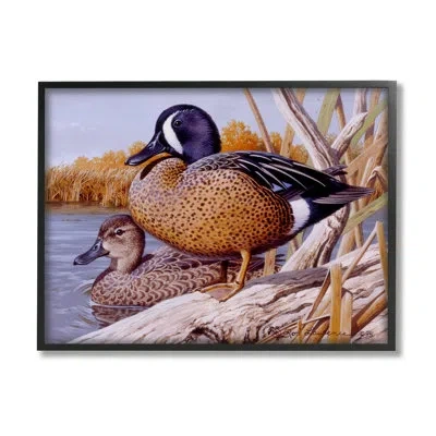 Stupell Industries Ba-351-framed Ducks At Pond's Edge In Midnight Black Framed Giclee