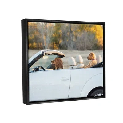 Stupell Industries Ba-359-floater Dogs Driving Convertible Framed On Canvas Print In Jet Black Floater Frame