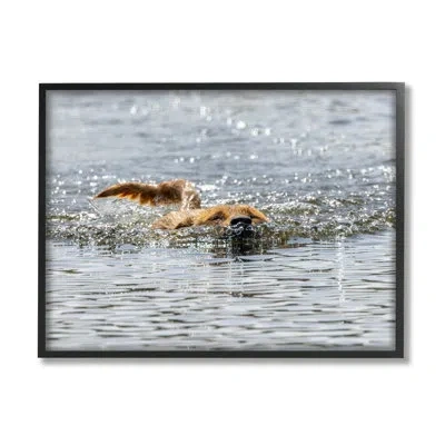 Stupell Industries Ba-366-framed Dog Swimming In Ocean In Midnight Black Framed Giclee
