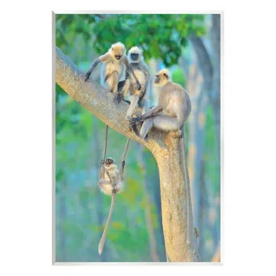 Stupell Industries Ba-404-wood Fun Playing Monkeys By Thomas Vijayan In Green