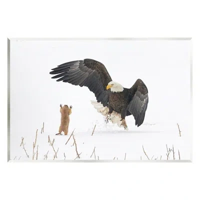 Stupell Industries Ba-405-wood Prairie Dog And Eagle By Arthur Trevino In Grey