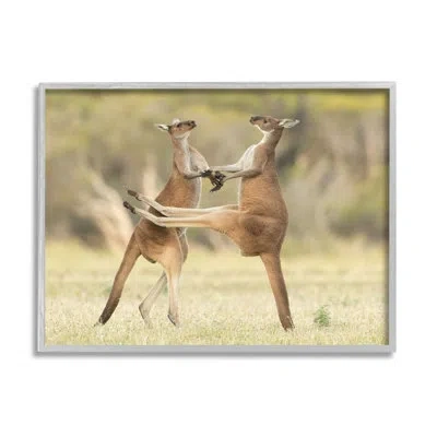 Stupell Industries Ba-411-framed Kangaroo Duo Photography By Lea Scaddan Single Picture Frame Print On Canvas In Farmhouse Gray Framed Giclee