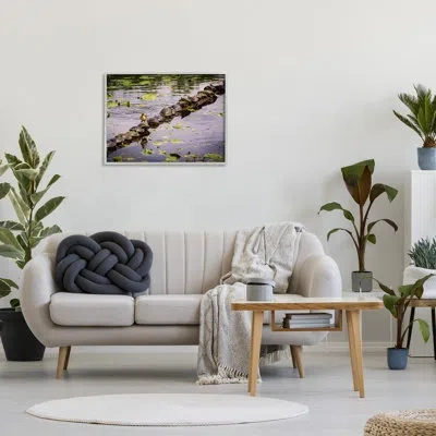 Stupell Industries Ba-413-framed Bird On Turtle Backs By Ryan Sims Single Picture Frame Print On Canvas In Farmhouse Gray Framed Giclee