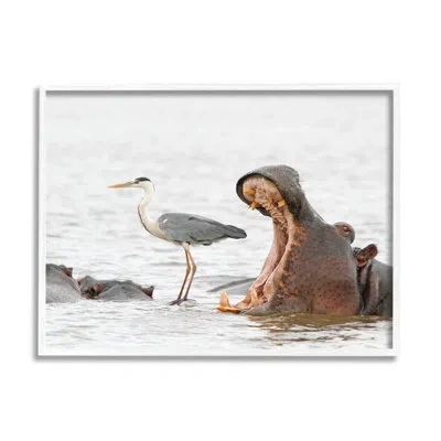 Stupell Industries Ba-416-framed Hippo And Heron Photography By Jean Jacques Alcalay Single Picture Frame Print On Canv In Coastal White Framed Giclee
