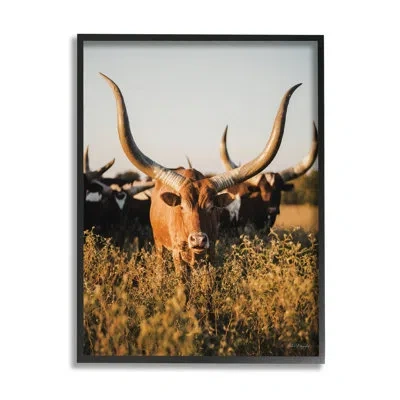 Stupell Industries Ba-417-framed Longhorn Herd Photography By Dakota Diener Single Picture Frame Print On Canvas In Midnight Black Framed Giclee