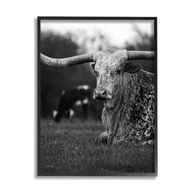 Stupell Industries Ba-418-framed Resting Longhorn Photography By Dakota Diener Single Picture Frame Print On Canvas In Midnight Black Framed Giclee
