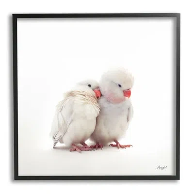 Stupell Industries Ba-969-framed White Love Birds By Roozbeh Single Picture Frame Print On Canvas In Midnight Black Framed Giclee