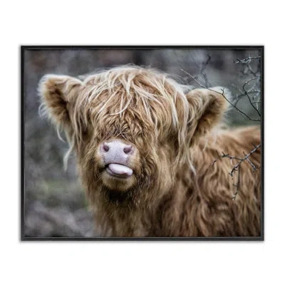 Stupell Industries Baby Highland Calf Cattle Licking Lips Country Farmland By James Dobson - Floater Frame Photograph O In Midnight Black Framed Giclee
