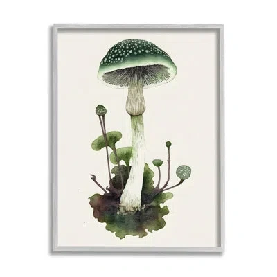 Stupell Industries Bb-063-framed Forest Green Mushroom Framed On Wood Print In Farmhouse Gray Framed Giclee