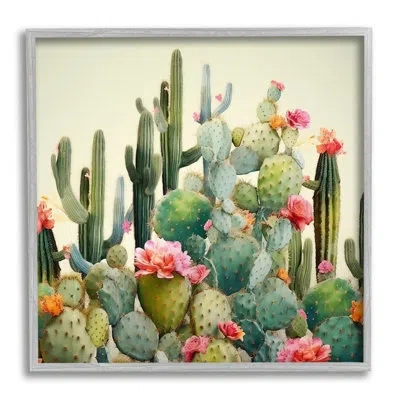 Stupell Industries Bb-256-framed Prickly Cactus Blooms Framed On Wood Print In Farmhouse Gray Framed Giclee