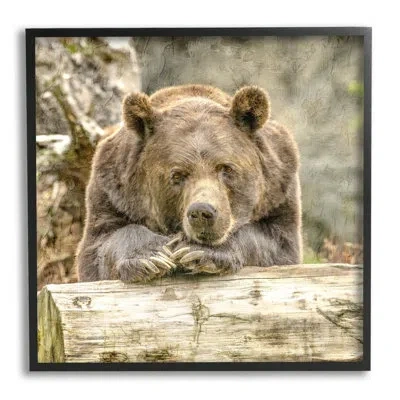 Stupell Industries Bear Resting On Log By Kim Allen Single Picture Frame Print On Canvas In Midnight Black Framed Giclee