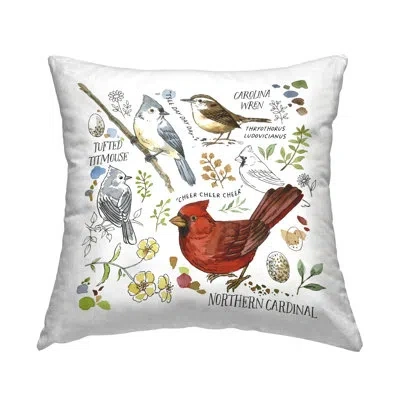 Stupell Industries Bird Watching Chart Decorative Printed Throw Pillow Design By Jane Maday In White