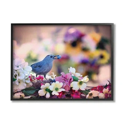 Stupell Industries Bird With Spring Flowers By Karen Burke In Midnight Black Framed Giclee