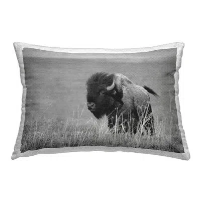 Stupell Industries Bison With Reeds Outdoor Printed Pillow By Steve Toole In Black;gray