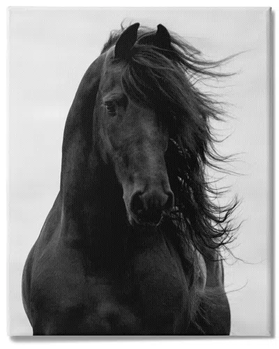 Stupell Industries Black Stallion Horse Portrait Soft Grey Sky Photography Stretched Canvas Wall Art By Caro