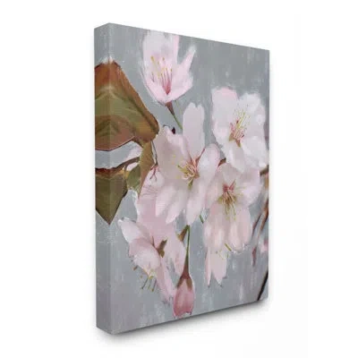 Stupell Industries Blooming Cherry Blossoms On Spring Branch By Daphne Polselli - Painting In Wrapped Canvas
