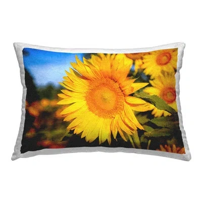 Stupell Industries Blooming Country Flowers Outdoor Printed Pillow By Daniel Sproul In Blue;brown;yellow