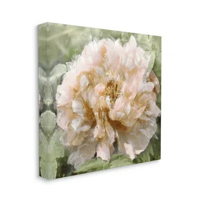 Stupell Industries Blooming Puffy Flower Nature Canvas Wall Art By Shawna Sullivan In Wrapped Canvas