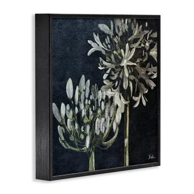 Stupell Industries Blooming White Herbs Framed Giclee Art By Patricia Pinto In Midnight Black Framed Giclee