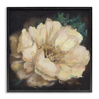 Stupell Industries Blooming White Magnolia Framed Giclee Art By Patricia Pinto In Midnight Black Framed Giclee