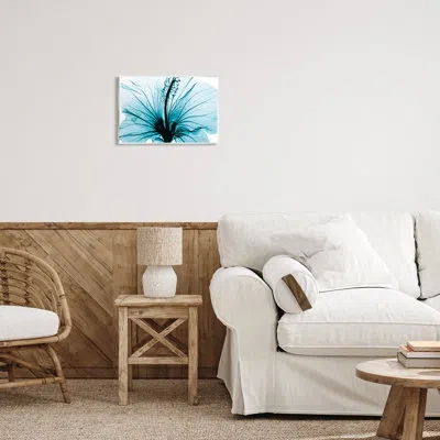 Stupell Industries Blue Flower X-ray On Mdf By Albert Koetsier Print
