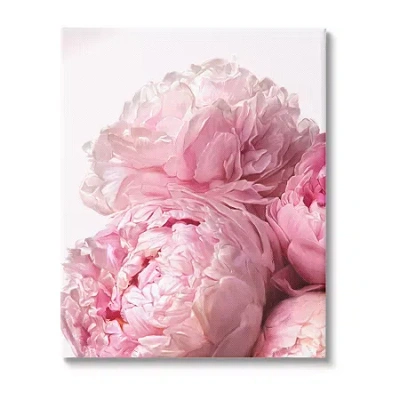 Stupell Industries Blush Pink Peony Florals Canvas Art