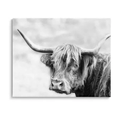 Stupell Industries Bold Country Cattle Photography Canvas Art In Black