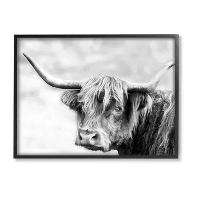 Stupell Industries Bold Country Cattle Photography Framed Print In Black