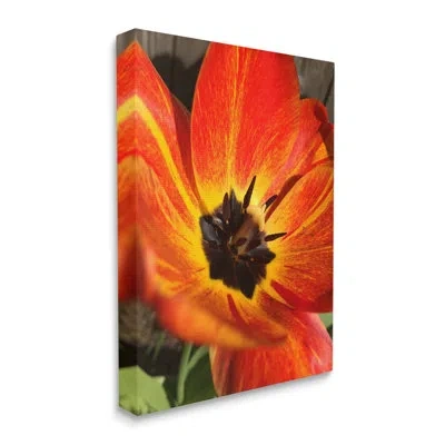 Stupell Industries Bold Red Poppy Flower Blossom Petals By Heidi Bannon - Floater Frame Photograph On Canvas In Wrapped Canvas
