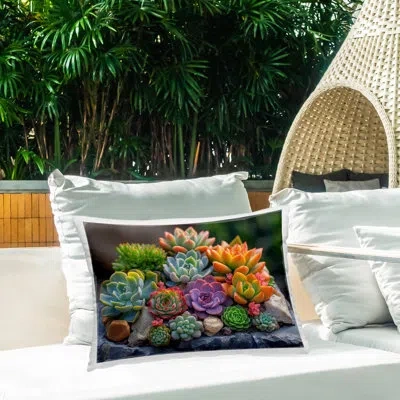 Stupell Industries Bold Succulent Botanicals Outdoor Printed Pillow By Imagine It Images In Gray