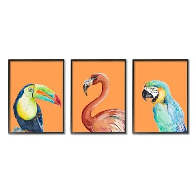 Stupell Industries Bold Tropical Birds Rainforest Animals Toucan Parrot By Patricia Pinto - 3 Piece Floater Frame Graph In Midnight Black Framed Giclee