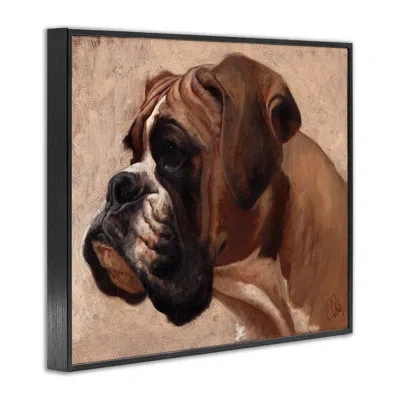 Stupell Industries Boxer Dog Neutral Portrait Giclee Art By Thomas Fluharty In Midnight Black Framed Giclee