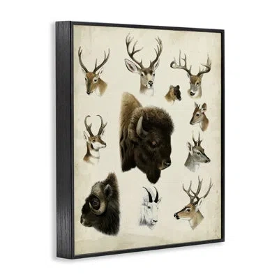 Stupell Industries Buffalo & Elks Woodland Animals Framed Giclee Art, Design By Unknown In Midnight Black Framed Giclee