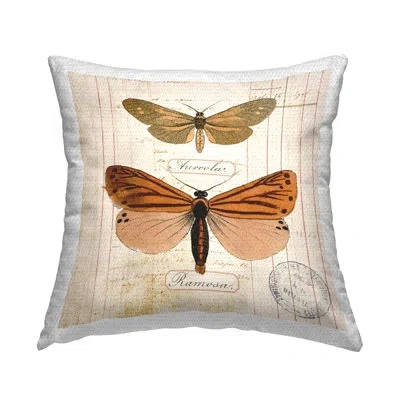 Stupell Industries Butterfly Latin Studies Design By Susan Arnot Outdoor Printed Pillow In Beige