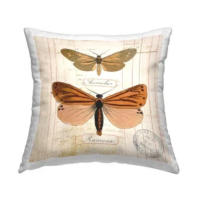 Stupell Industries Butterfly Latin Studies Design By Susan Arnot Throw Pillow In Beige