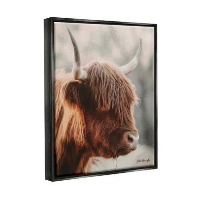 Stupell Industries Calm Highland Cow Cattle Portrait Horns Photography By Dakota Diener - Floater Frame Print On Canvas In Jet Black Floater Frame