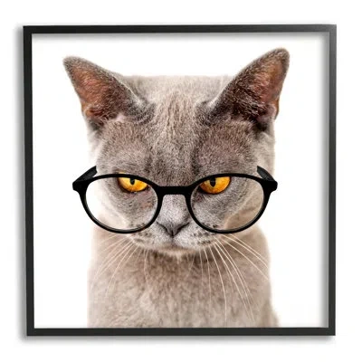 Stupell Industries Cat Face Hipster Glasses Black Framed Giclee Art By Karen Smith In Midnight Black Framed Giclee