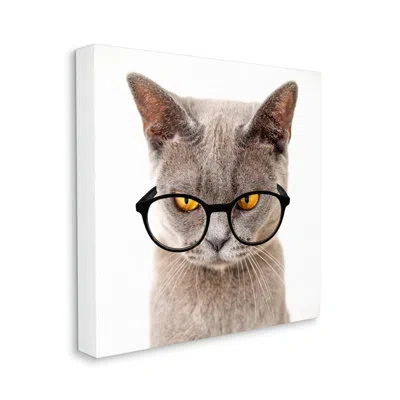 Stupell Industries Cat Face Hipster Glasses By Karen Smith - Wrapped Canvas Graphic Art In Black;white;tan