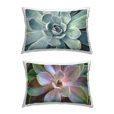 Stupell Industries Centric Succulent Forms Decorative Printed Throw Pillow Design By Susan Bryant (set Of 2) In Green