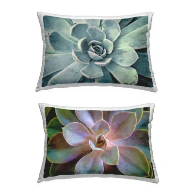 Stupell Industries Centric Succulent Forms Printed Outdoor Throw Pillow Design By Susan Bryant (set Of 2) In Green