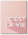 Stupell Industries C'est La Vie French Phrase Pink Pop Typography Stretched Canvas Wall Art By Anna In Pink