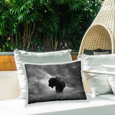 Stupell Industries Cloudy Bison Portrait Outdoor Printed Pillow By Steve Toole In Black;gray