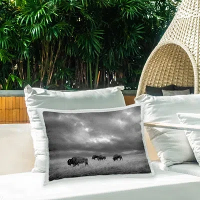 Stupell Industries Cloudy Field & Bison Outdoor Printed Pillow By Steve Toole In Black;white;gray