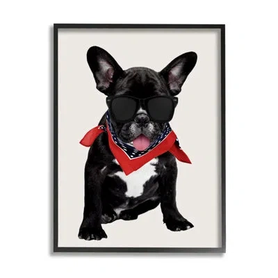 Stupell Industries Cool Dude French Bulldog Pet By Karen Smith - Floater Frame Graphic Art On Wood In Midnight Black Framed Giclee