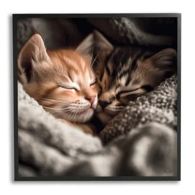 Stupell Industries Cuddling Kittens Portrait By Roozbeh Single Picture Frame Print On Canvas In Midnight Black Framed Giclee
